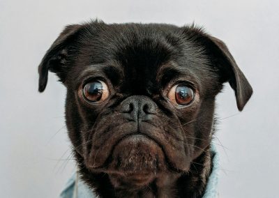 Where’s the coffee? Who do I ask for help? And other questions people have on their first day at the office.